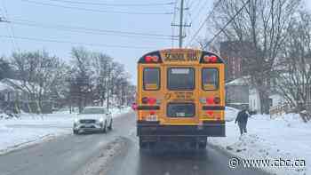 Some Ontario schools missed nearly 1 month because of snow days this winter