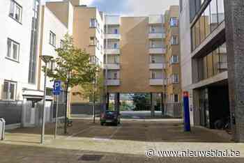 Burenruzie ontaardt in steekpartij: twintiger zwaargewond