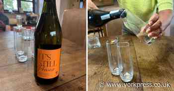 I tested Aldi's new 'wine of the summer' and almost lost all my street cred