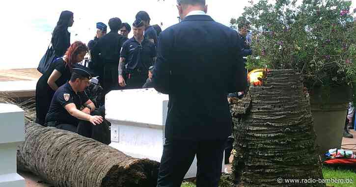 Mann durch umfallende Palme beim Filmfest Cannes verletzt