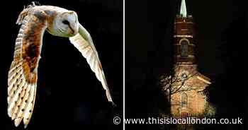 See some of the 'biggest and best' pictures by long-running photography group