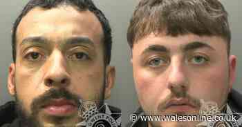 Hapless drug dealers' getaway from police fails with crash into parked car