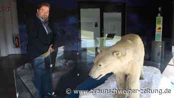 Internationaler Museumstag: Hier ist was los im Kreis Helmstedt