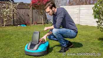 Erfolg auf dem Rasen: 9 Tipps, mit denen Hobby-Gärtner punkten