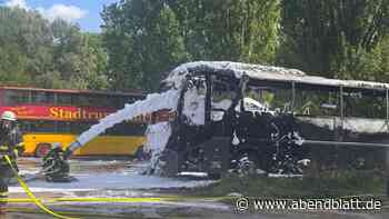Riesige Rauchsäule über der Elbe – Reisebus explodiert
