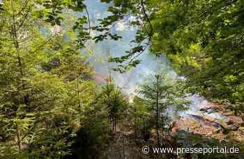 POL-PDTR: Brand eines Waldgeländes in Hermeskeil