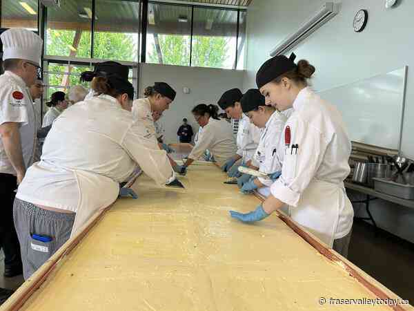 Vancouver Island University students are making the world’s largest Nanaimo bar