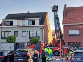 Hevige brand in loods in Mechelen, schade aan aanpalende woning kan grotendeels vermeden worden: “Ik keek buiten zag dat mijn terras in brand stond”