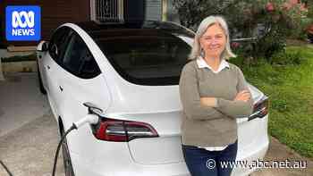 Personal interest trumps environment as motive for most battery buyers