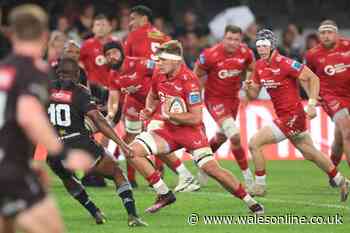 Scarlets learn URC play-off opponents after South African defeat