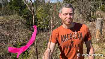 Stepdad of missing N.S. kids says he hopes 'something positive' will come from renewed search