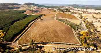 Our collection of five smaller vineyards on the SA sales market today