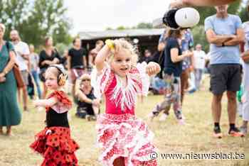 OVERZICHT. Feesten voor twee keer niets: op deze zomerfestivals in Antwerpen geniet je helemaal gratis