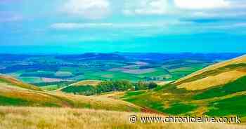 The 'breathtaking' Northumberland picnic spot loved by Robson Green