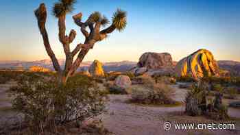 TikTok's Raunchy Love Letter to the National Parks Might Actually Save Them