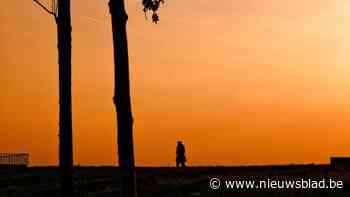 STRAATFOTOGRAAF. “Ga op een heldere dag aan het begin van de avond naar een Scheldekaai naar keuze, kijk richting Zwijndrecht en voel jezelf kleiner worden”