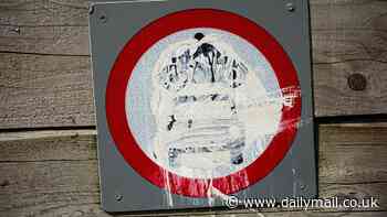 Reform UK launches war on LTNs: Nigel Farage's party will axe hated green roads schemes in all 10 of its newly-won council authorities