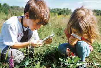 Week van de Biodiversiteit afgetrapt met bioblitz in Zoniënwoud