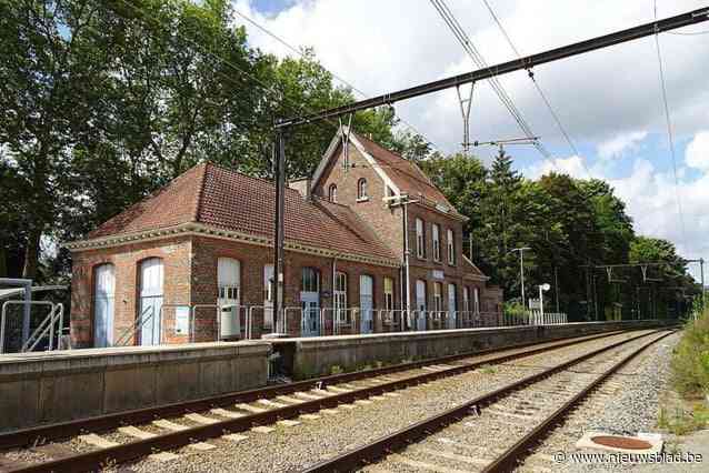 Goederentrein in panne veroorzaakt hinder voor trein- en wegverkeer in Dilbeek