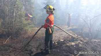Wildfire response training should be made available to more civilians, experts say