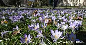 Wetter heute (18.5.2025): Aktuelle Wettervorhersage und Trends der nächsten Tage