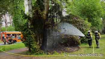 Aufregung auf dem Bergedorfer Friedhof: Büsche in Flammen