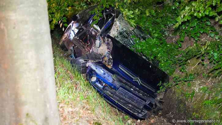 Meerdere bomen geramd door dronken automobilist