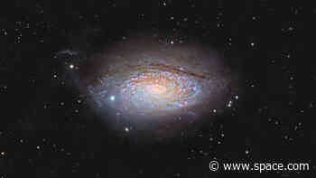 Amateur astrophotographer catches a cosmic sunflower in bloom