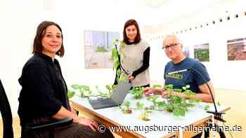 Ausstellung im Stadthaus Ulm: Das können wir von Pflanzen lernen