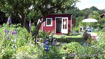 Insider-Tipps: So ergattern Sie einen Kleingarten in Hamburg