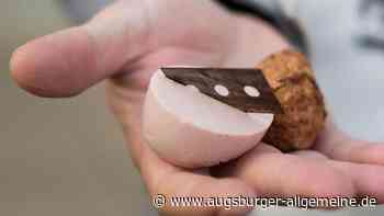 Aufmerksame Hundehalterin findet Giftköder im Gebüsch