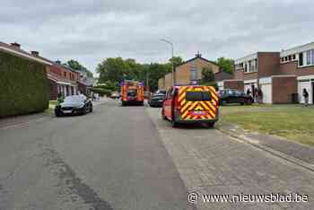 Sigarettenpeuk veroorzaakt brandje: bewoners kunnen zelf blussen
