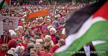 Al tienduizenden mensen op Malieveld voor Gaza-protest