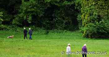 Bristol's best park as North Bristol estate takes top place