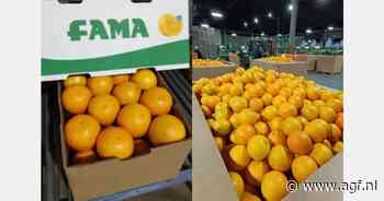 Beperkte oogst in VS en Brazilië biedt kansen voor vroege Argentijnse sinaasappelen