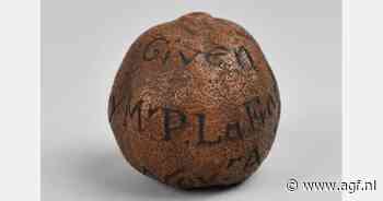 Oudste citroen en fossiel van bes ontdekt