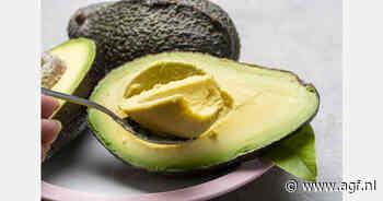 Een vijfde meer avocado's geoogst in Málaga