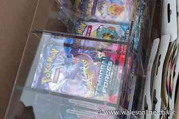 Police seize huge stash of rare Pokemon cards and vow to return them to fans
