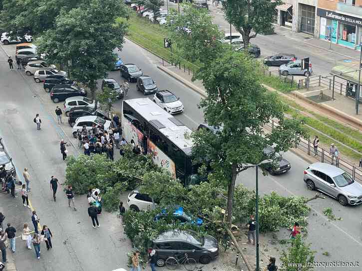 Bus con a bordo scolaresca finisce contro un albero a Torino: l’autista ha perso il controllo, alcuni feriti lievi
