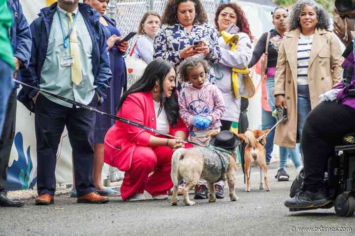 First NYCHA dog park in the city opens in Castle Hill