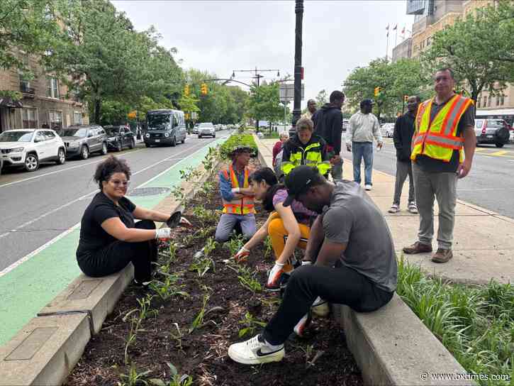 Grand Concourse beautified through Bronx volunteer effort, DOT initiative