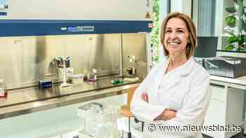 Eerste test van Diepenbeeks antiverouderingsmedicijn bij 130 longpatiënten: “Daarna bij mensen met obesitas die veel afgevallen zijn”