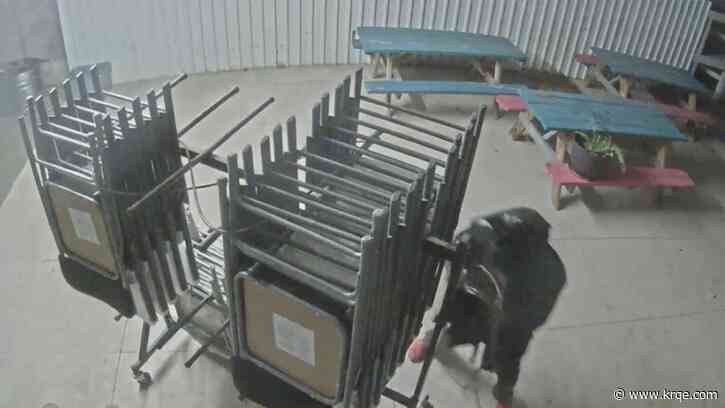 Thousands of dollars worth of folding chairs stolen from Albuquerque organization