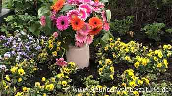Pietätlos: Blumenklau auf dem Vechelder Friedhof