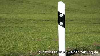 Jugendlicher wirft Leitpfosten in Braunschweig auf die Straße