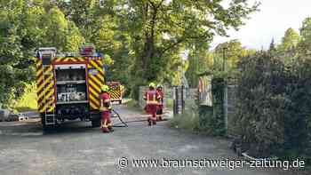 Polizei: Mülltonnen an Schule in Thiede vorsätzlich angezündet