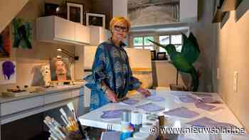 Atelier in Beeld en Kunst in Schilde: bijna duizend geïnteresseerde bezoekers