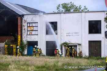 Hasselt ziet dak- en thuislozenprobleem groeien: “Zelfs meer geld of personeel zijn geen oplossingen”