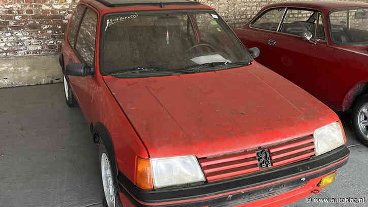 Koop een 205 GTi voor weinig bij de Belgische overheid!