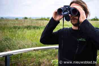 Jonas (34) speurt op mijnterril naar bosbranden: “Voor het eerst in drie jaar, en heel uitzonderlijk dat ik dit in mei al moet doen”